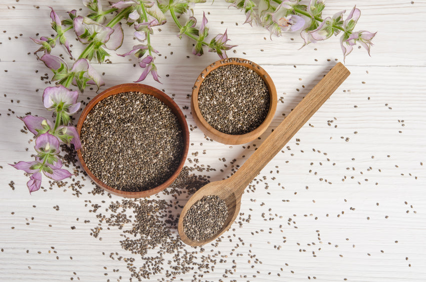 4 Reasons Chia Seeds Should be Part of Your Paleo Diet